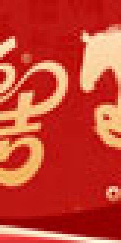 AI矢量图形助力春节马年海报制作(156).psd